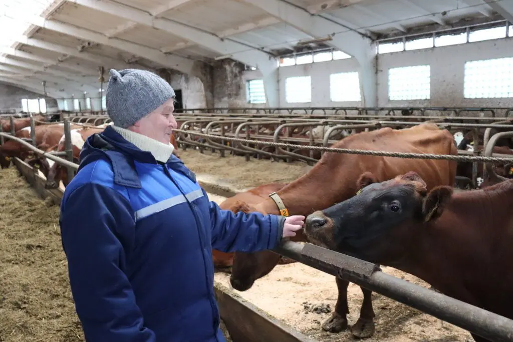 ПОЗДРАВЛЯЕМ ПОБЕДИТЕЛЕЙ КРАЕВОГО КОНКУРСА ОПЕРАТОРОВ МАШИННОГО ДОЕНИЯ КОРОВ