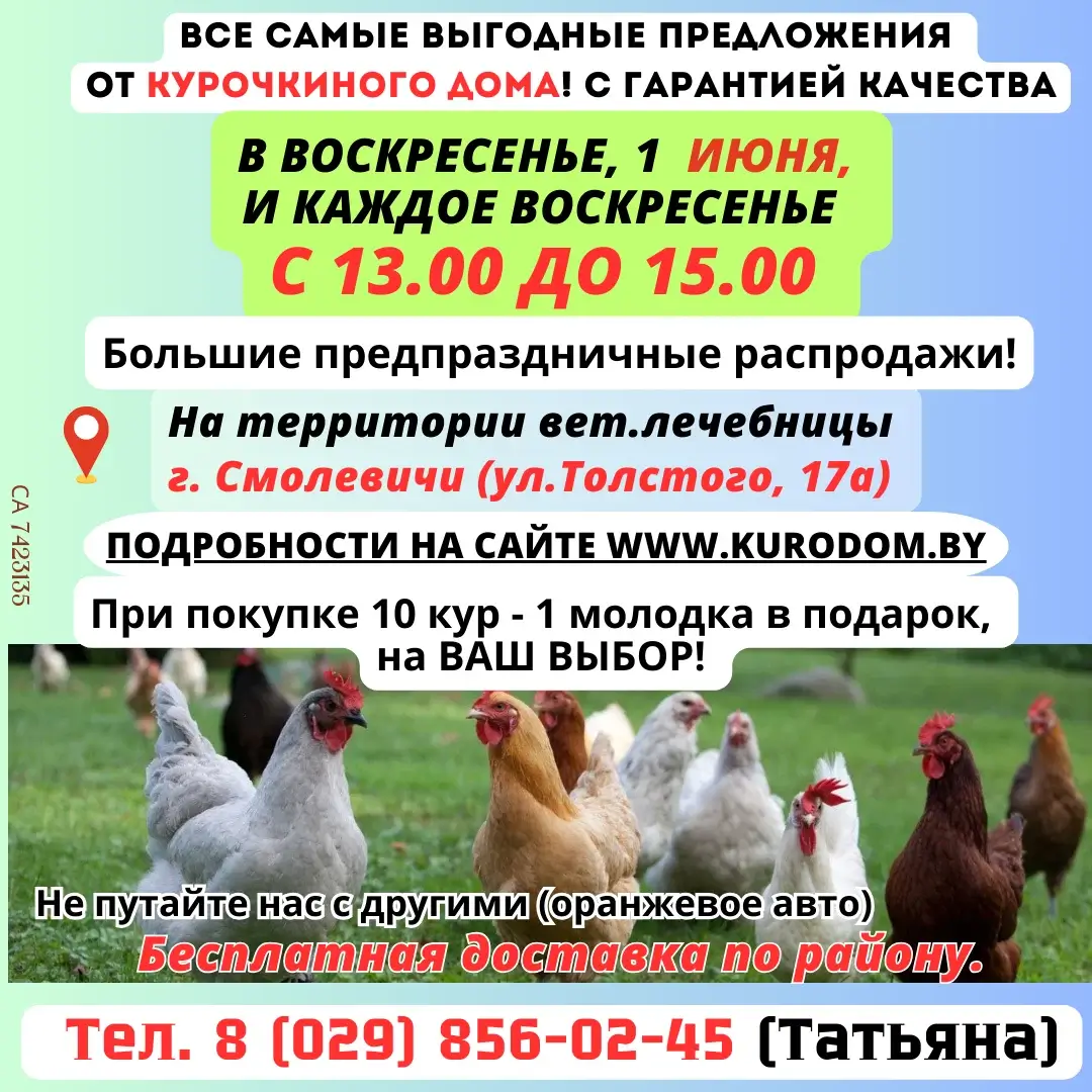 ИП Рагель Татьяна Васильевна