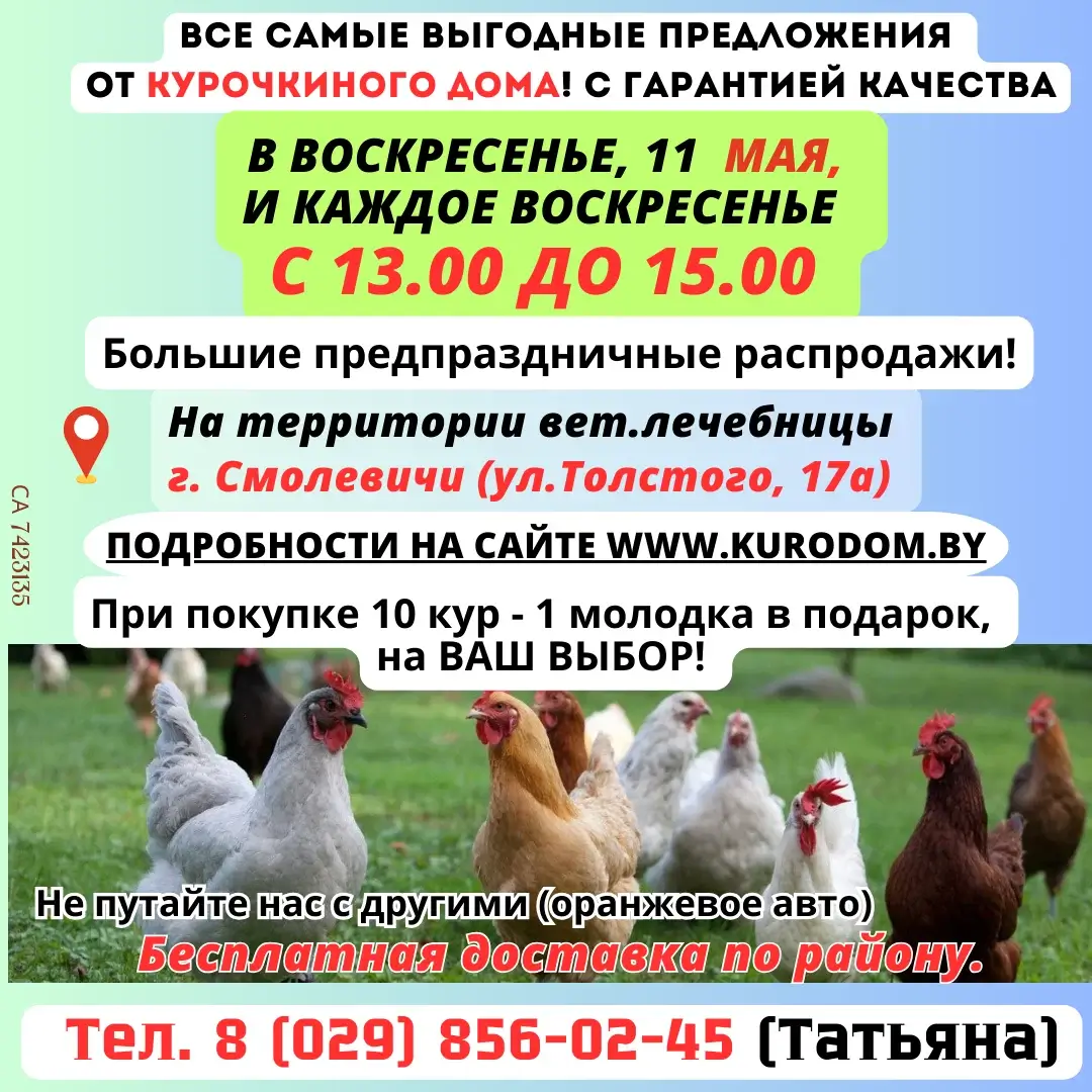 ИП Рагель Татьяна Васильевна