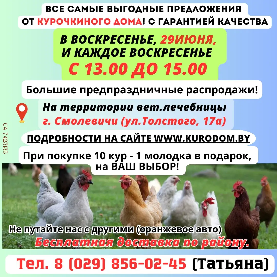 ИП Рагель Татьяна Васильевна