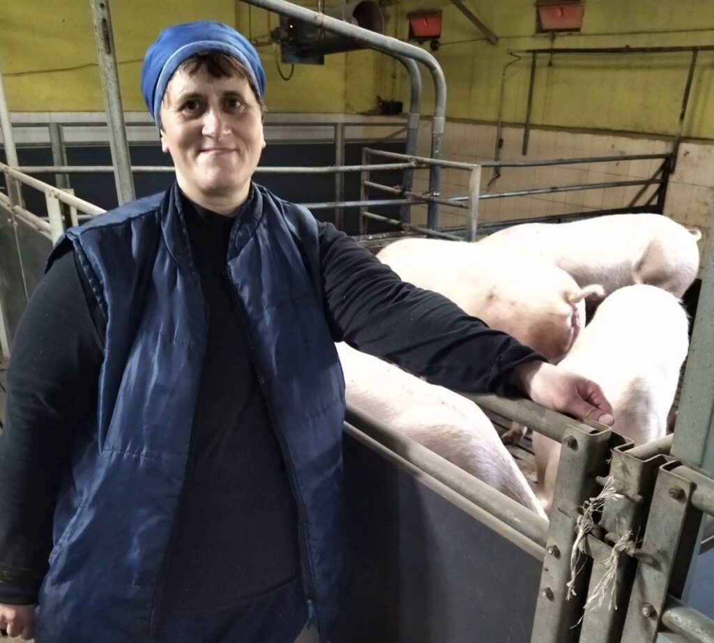 Более 30 лет заботится о «пятачках» животновод из «ЖодиноАгроПлемЭлиты»