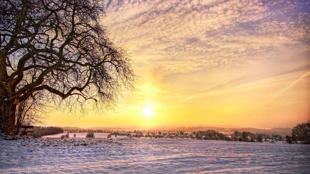 Гороскоп на 16 февраля: Телец узнает, что такое неукротимость, а Рак будет фонтанировать идеями