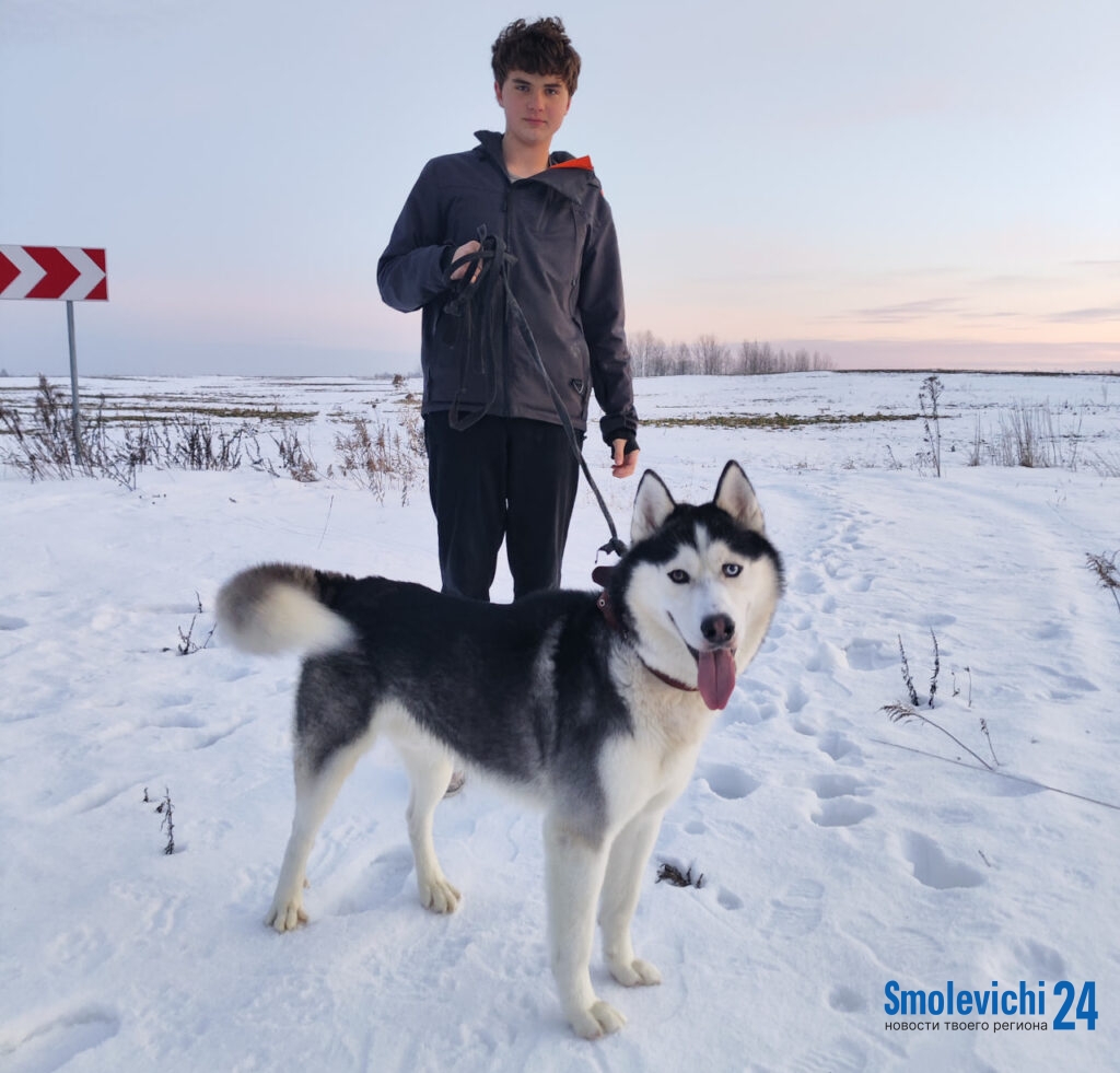 Как семья из Емельяново щенка воспитывала