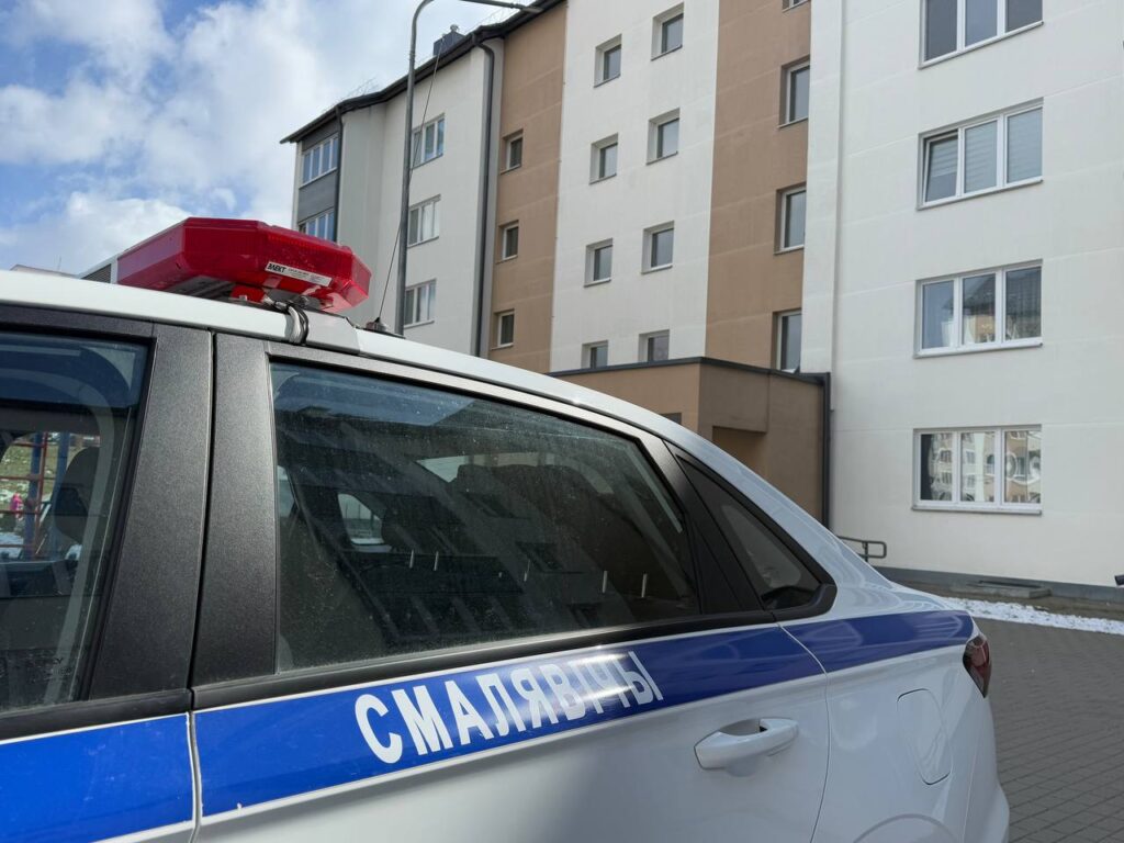 «Детки должны быть защищенными». Акция ГАИ «Дети на дороге — ответственность взрослых» проходит в Смолевичах