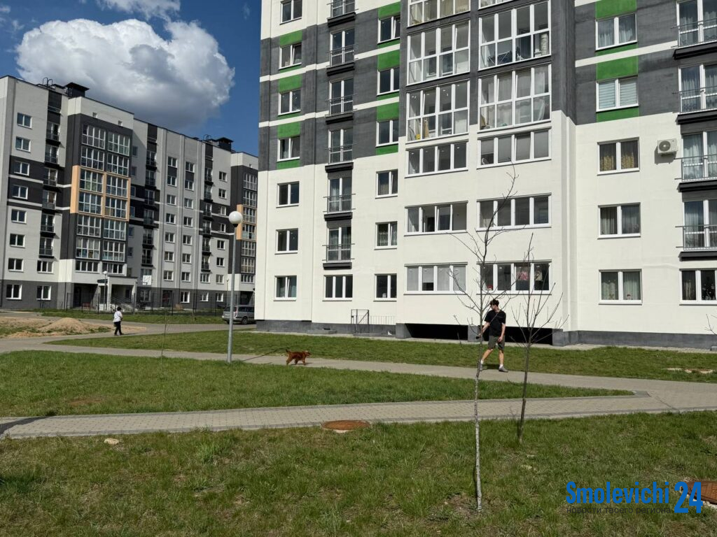 Лукашенко поручил отрегулировать правила предоставления и выкупа арендного жилья