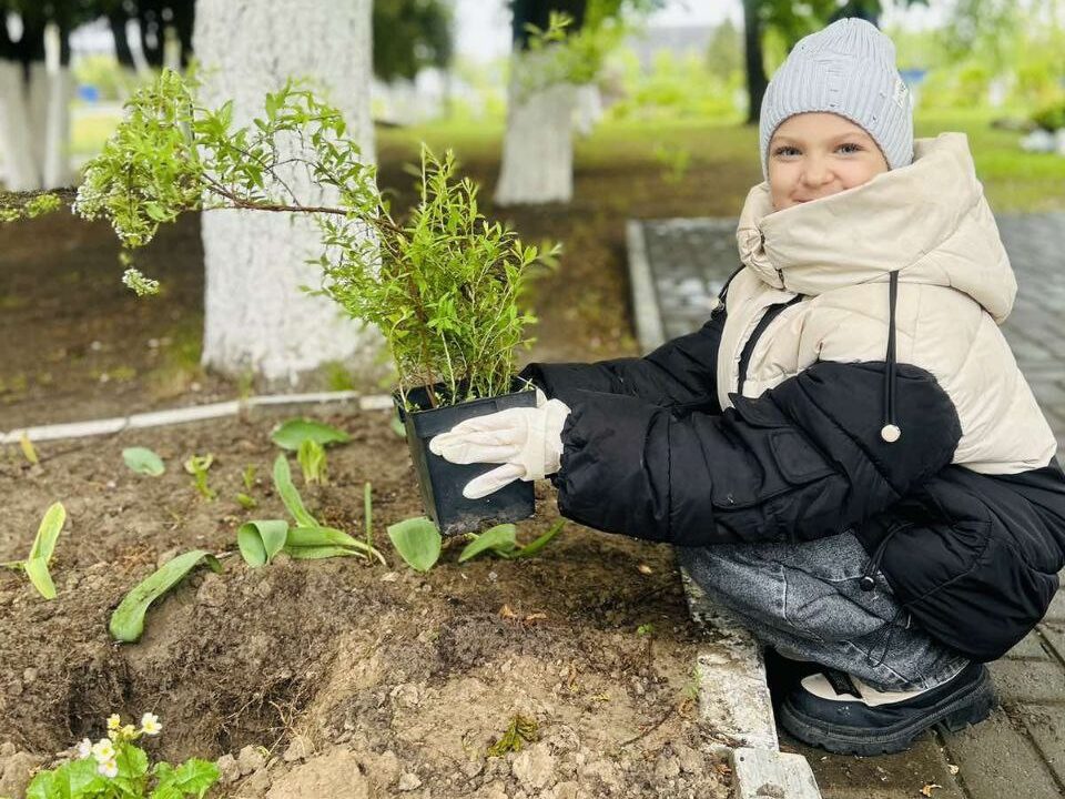 В честь Дня семьи и Года благоустройства в СШ №2 посадили деревья и кустарники
