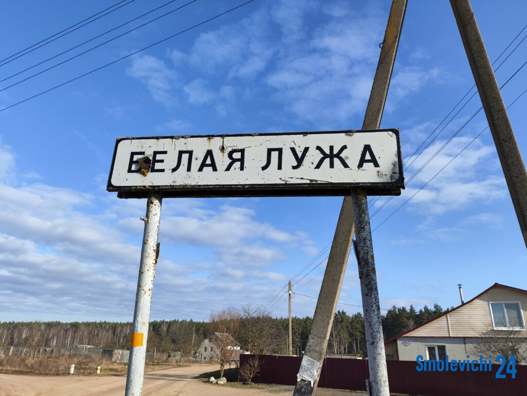 Внимание! Вблизи деревни Белая Лужа в июле пройдут стрельбы