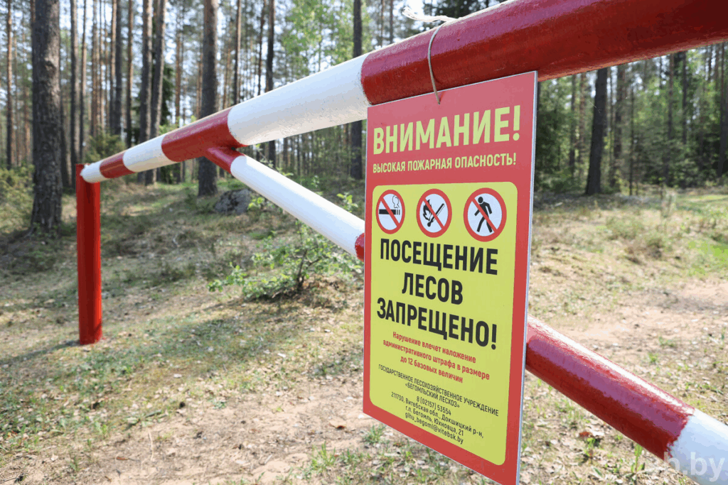 В Смолевичском районе введено ограничение на посещение лесов