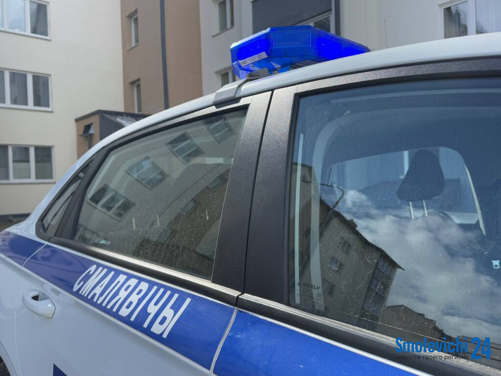 Смолевичская Госавтоинспекция проводит акцию «Родительский контроль!»