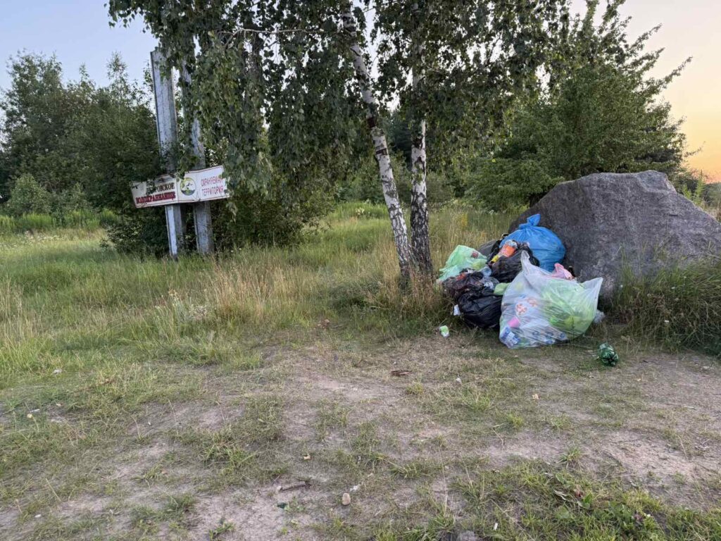 Мусор на Дубровском: кому и как убирать отходы?