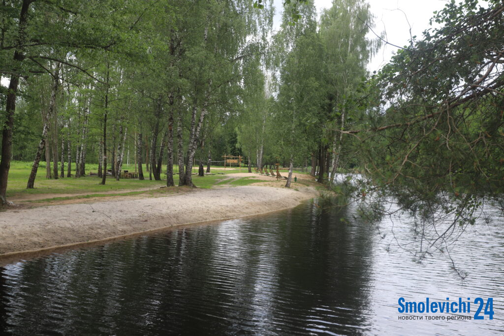 Зеленоборцы преобразили заброшенный водоем в зону отдыха мечты