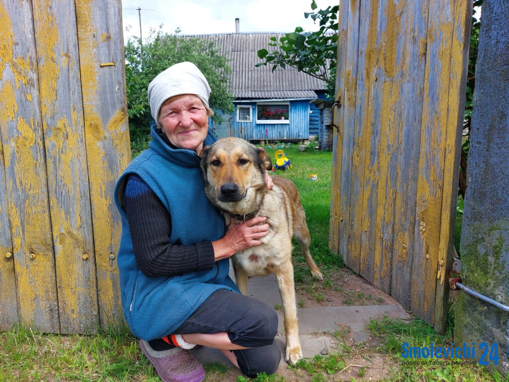 Хвостатый напарник. Познакомились с овчаркой из Шеметово, которая понимает хозяйку с полуслова