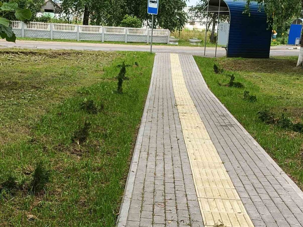 Люди были в шоке. В Будагово вырубили 20 туй