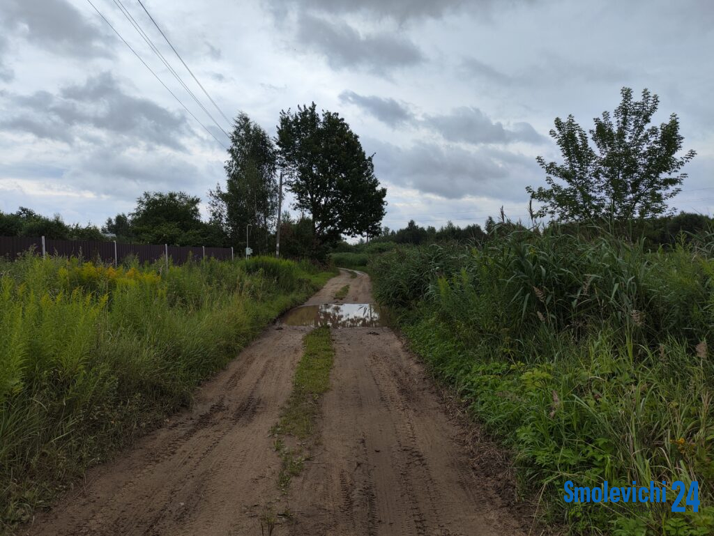 «Лужи по колено и заросли в человеческий рост». В сельисполкоме прокомментировали видео из TikTok