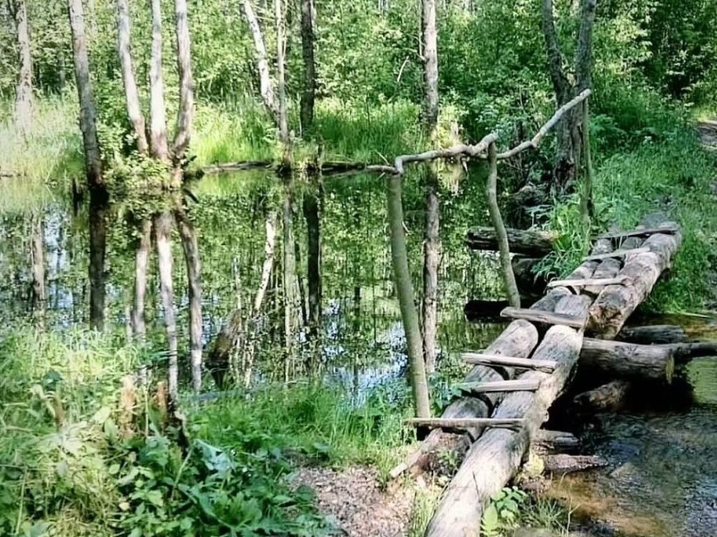 Где в Смолевичском районе обитает речная форель и водятся горностаи?