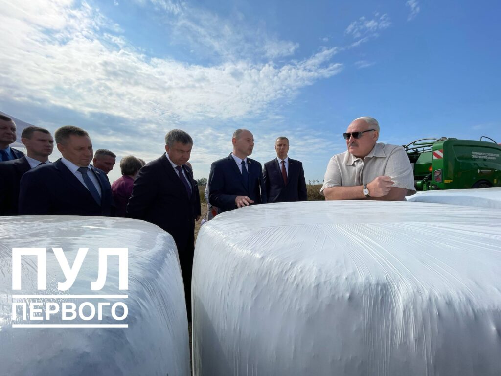 «Я такого рапса еще не видел» —  Президент высказался о полях «Озерицкого-Агро»