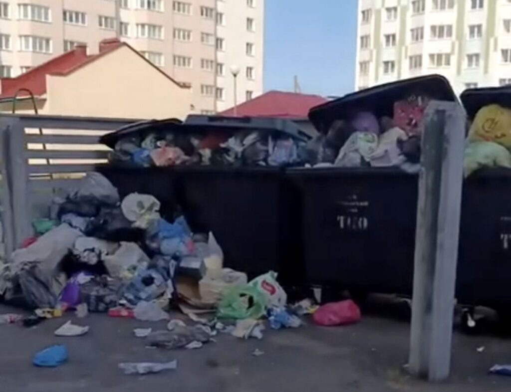 «Живем как на мусорке»: жители улицы Социалистической пожаловались на перебои с вывозом отходов