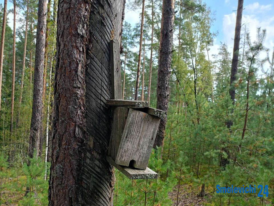 Бережливость против надежности. Почему мелочи не прощают ошибок