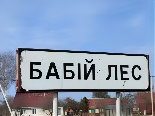Разыскиваются потомки связной партизанского отряда из Бабьего Леса