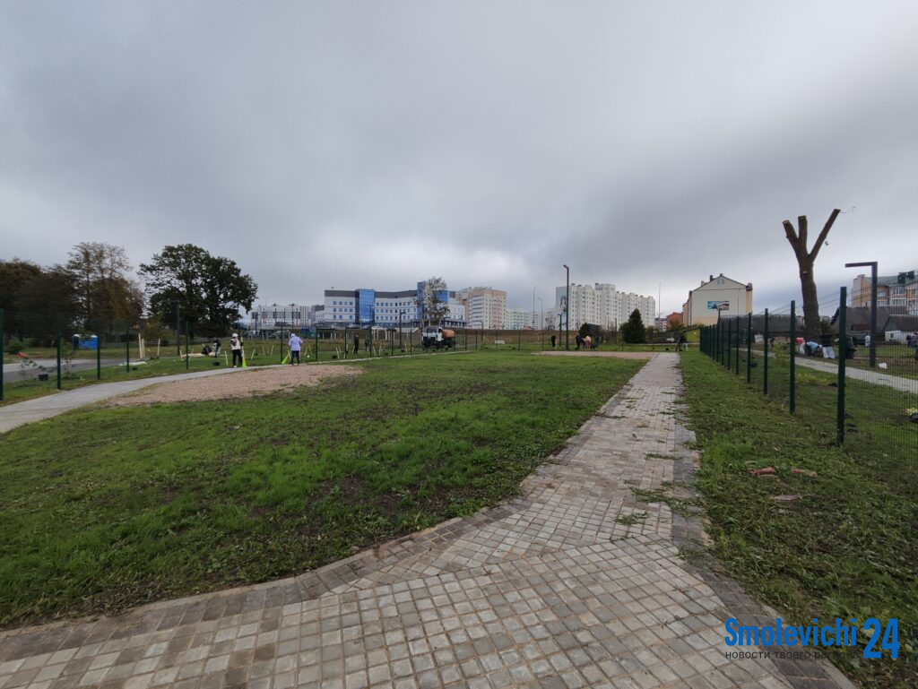 Почти готова! В городе откроется «собачья» площадка