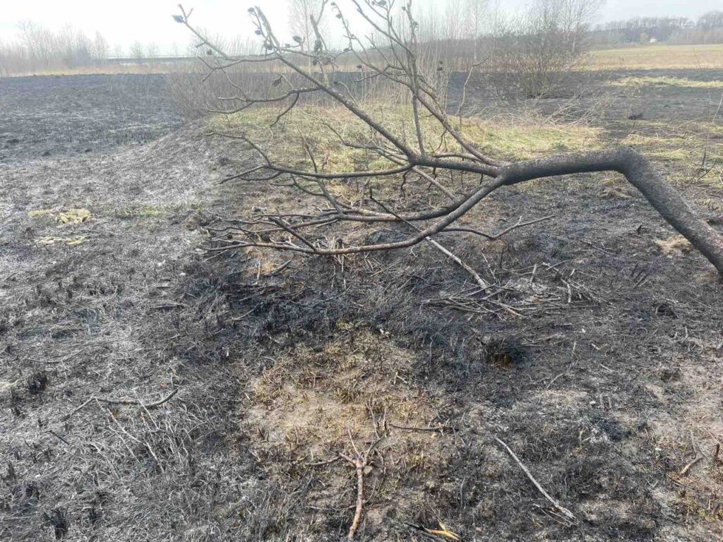 В Смолевичском районе прошел рейд «Зеленый щит» по борьбе с природными пожарами