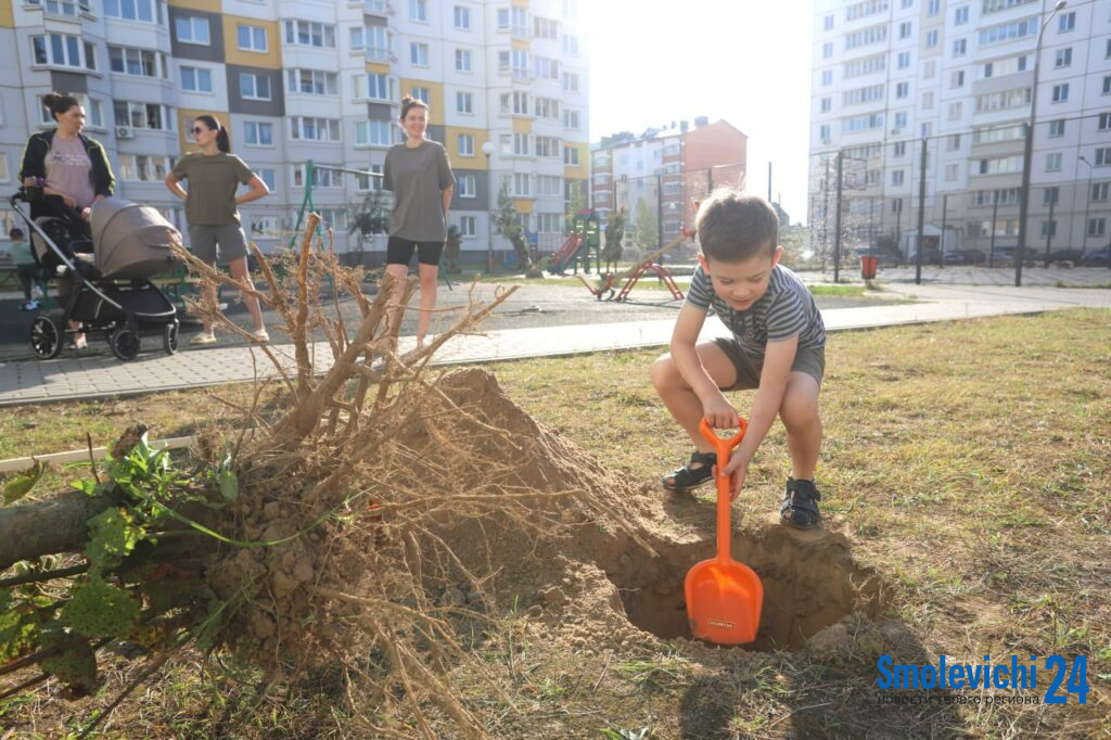 Когда соседи — одна команда. Посмотрели, как прошел субботник на Белореченской и Социалистической