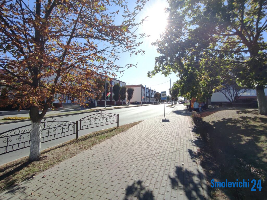 «Тунеядцы» под ударом, школьные обеды подорожают и запрет на рыбалку: что нового для белорусов с 1 октября