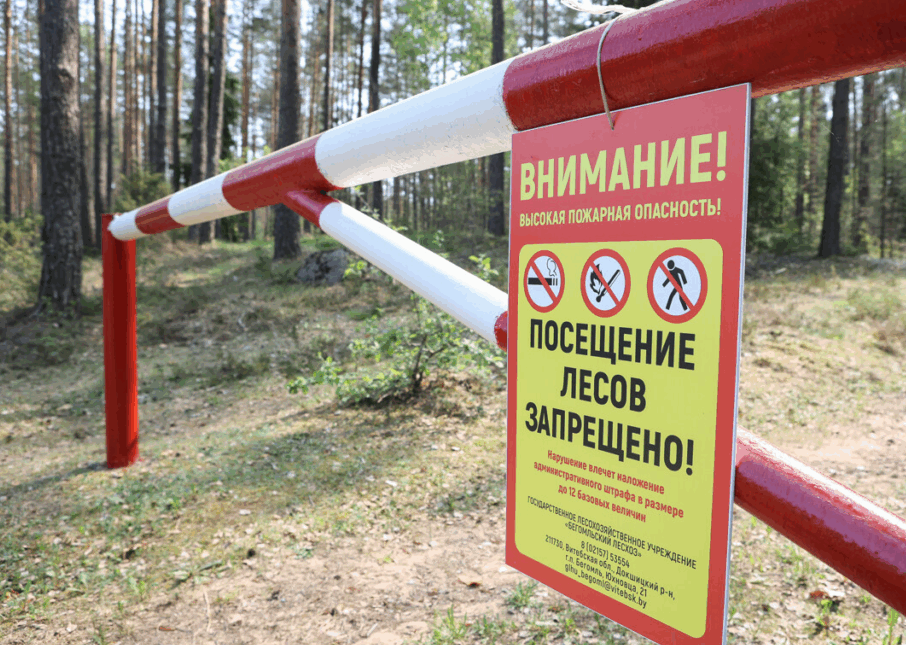 В лесах Смолевичского района установился самый высокий класс пожарной опасности