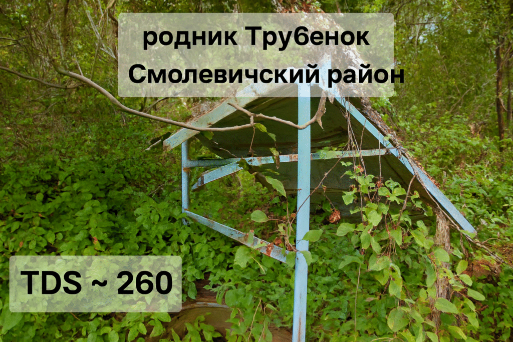 «Заброшен, неухожен, внутри лягушки». Нашли заброшенный родник под Смолевичами