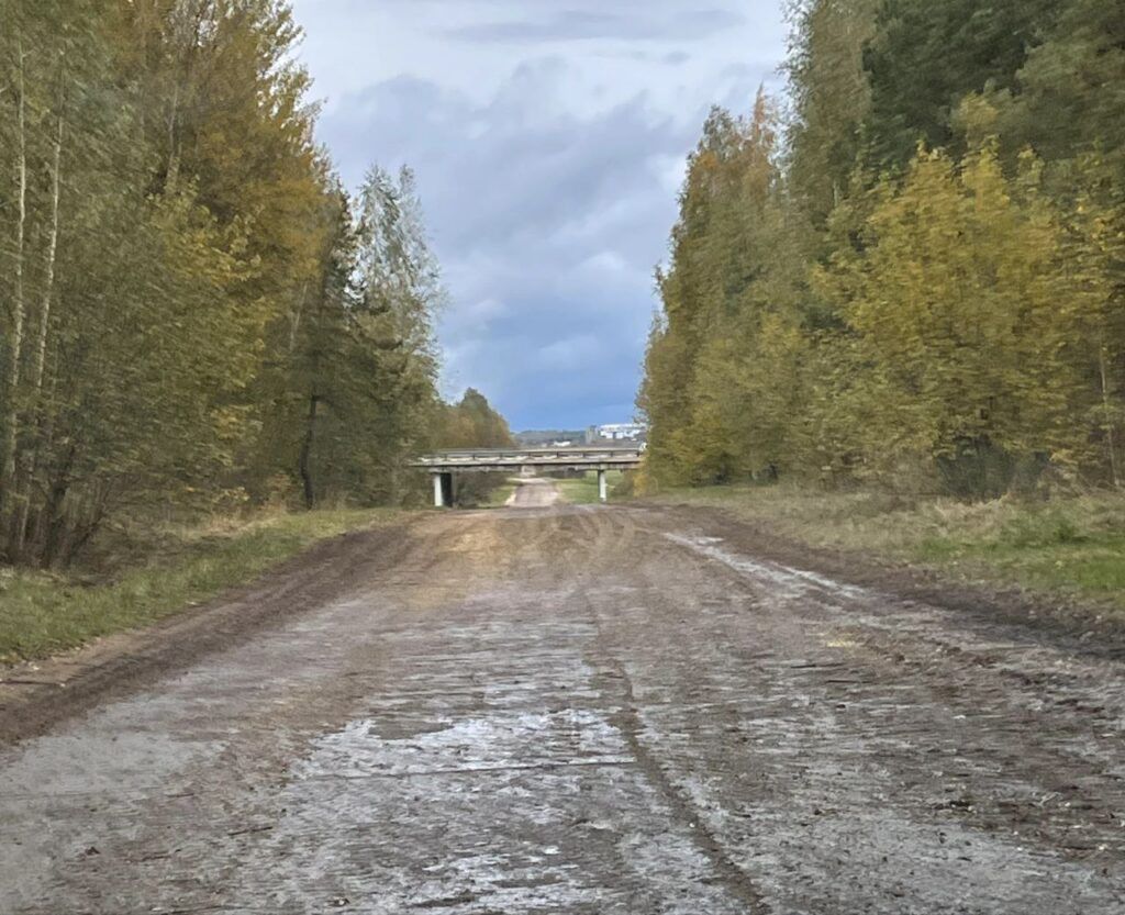 «Это не проселочная дорога, а асфальт под грязью»: жители Черниковщины жалуются на состояние дороги