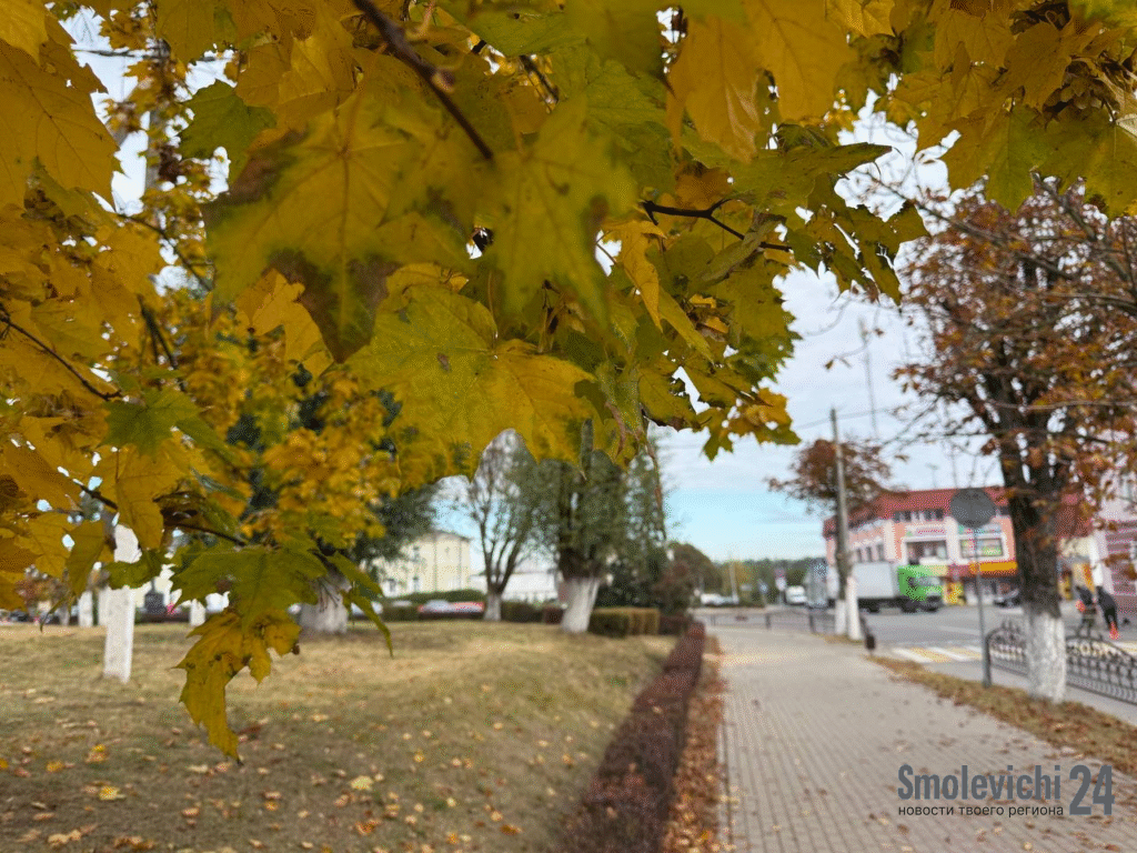 Что изменится для белорусов с 1 ноября: пособия, транспорт, банковские услуги и новые правила