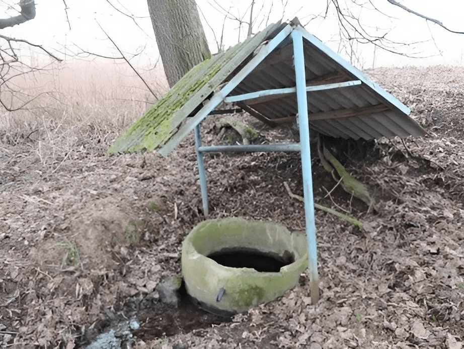 «Неухожен, внутри лягушки». Тиктокер нашел заброшенный родник под Смолевичами