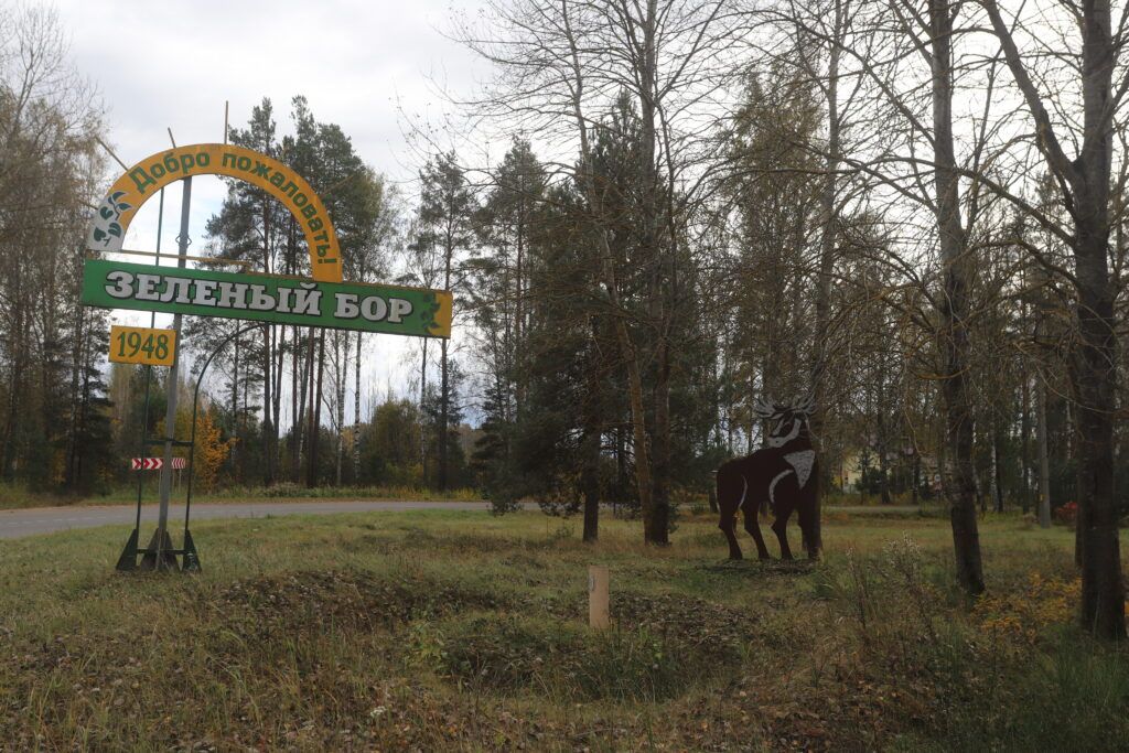 В Зеленом Бору задержаны двое злоумышленников, пытавшихся ограбить дом односельчанина