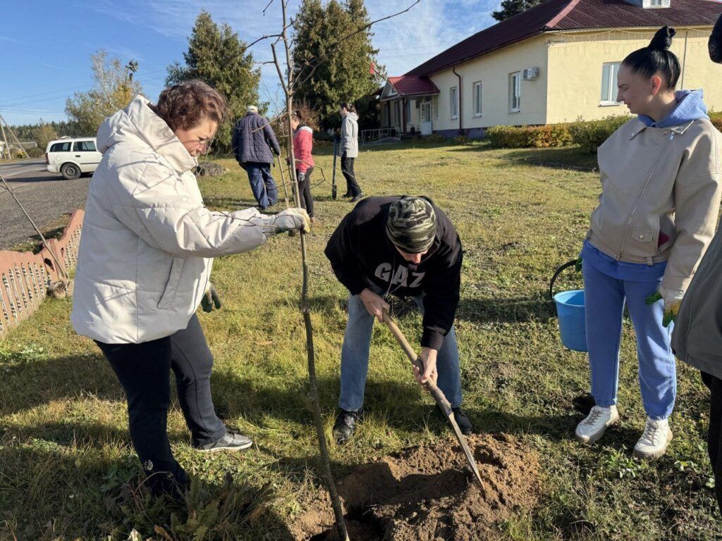 В агрогородке Драчково зазеленела липовая аллея