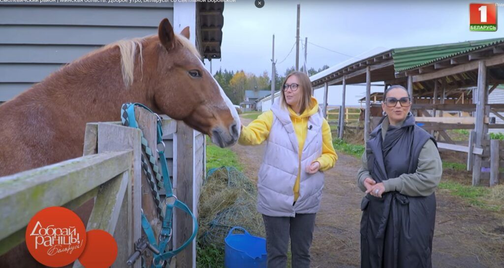 Лошади «Green Ranch» попали в объектив популярной программы