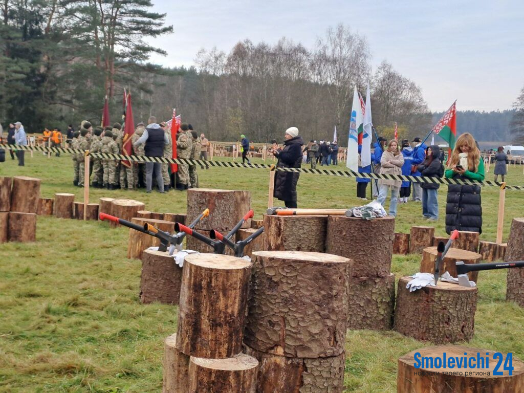К колке дров готовы! На Вяче начинается 4-й чемпионат