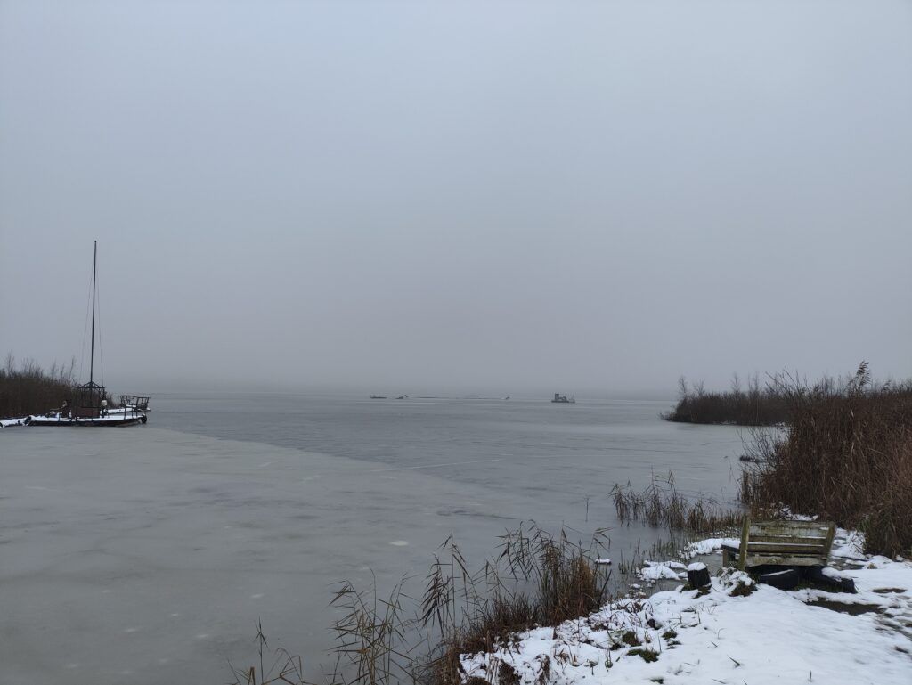 В озеро Судобль выпустили 1150 килограммов карпа и щуки