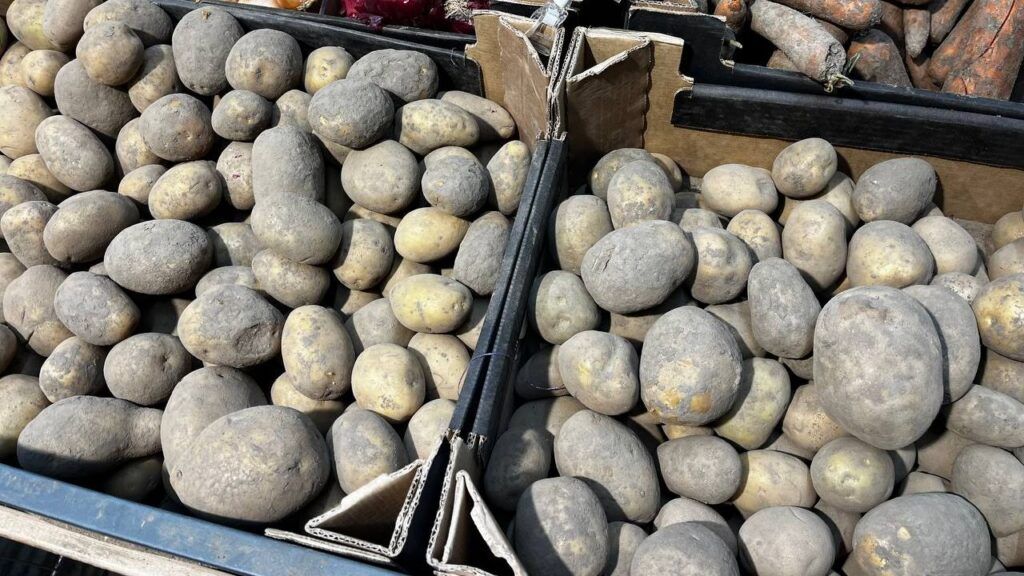 Почем бульба? Сколько стоит картофель в Смолевичах после введения ценового порога