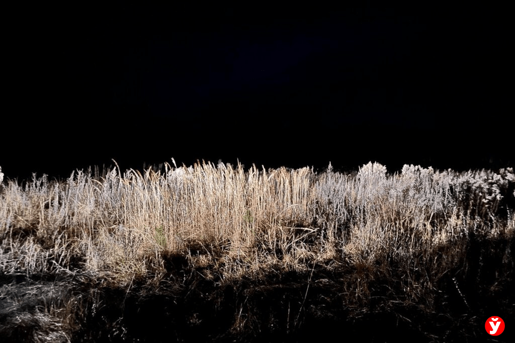 Предварительная причина смерти подростка Максима Зеньковича — утопление