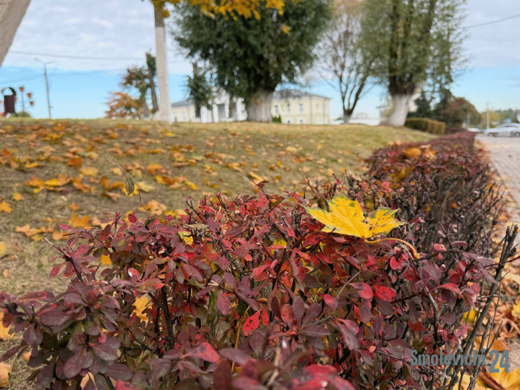 Обзор за неделю. Глава района провел прием граждан, в Смолевичах судили уклониста, спасатели ликвидировали задымление