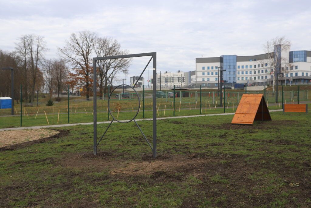 Лапки, апорт! На площадке для выгула собак установили тренажеры