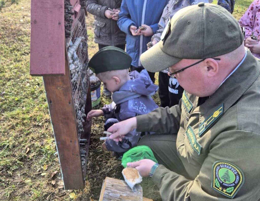 Инженер Матросов спешит на помощь: как в детском саду место обитания насекомых спасали