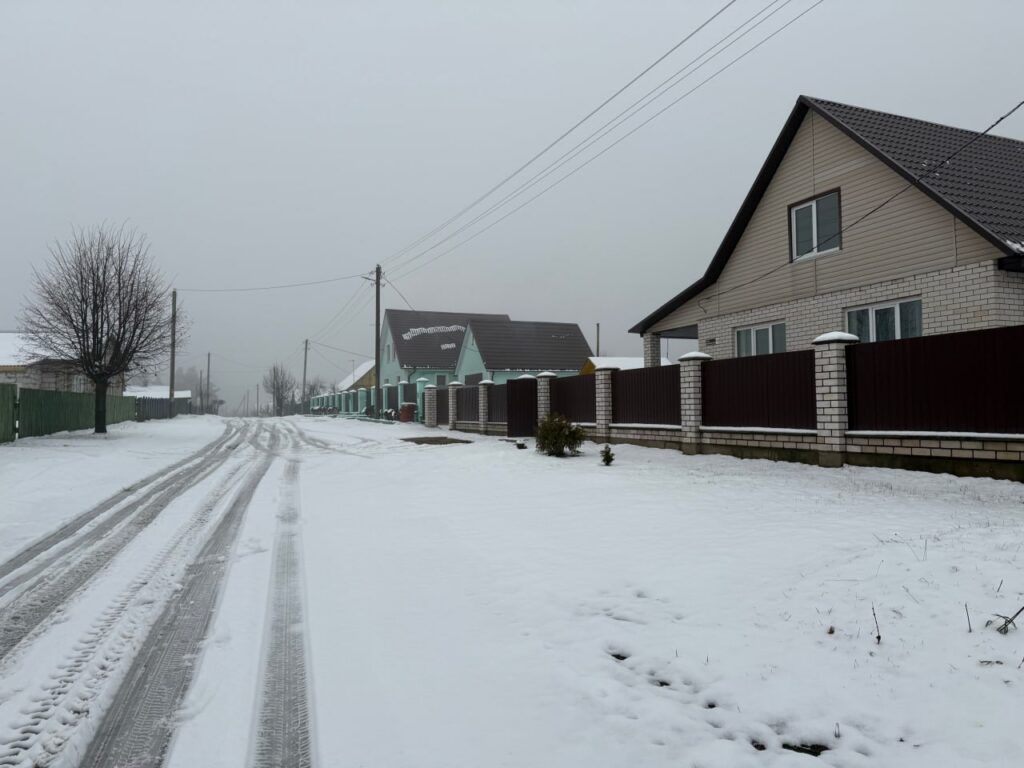 Лиса в Пекалине: почему дикое животное пришло в населенный пункт