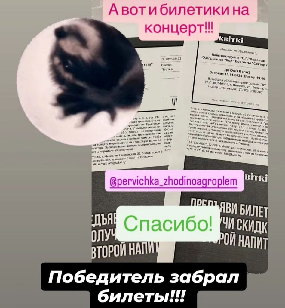 Многодетная мама выиграла билеты на концерт панк-рок-группы в инстаграме своего профсоюза