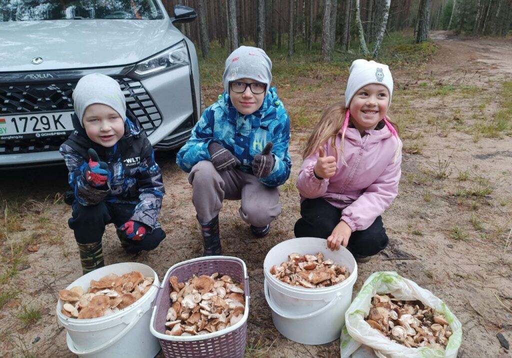 Собираем грибы всей семьей, смолевичанка Ольга МОЖЕЙКО поделилась своим уловом