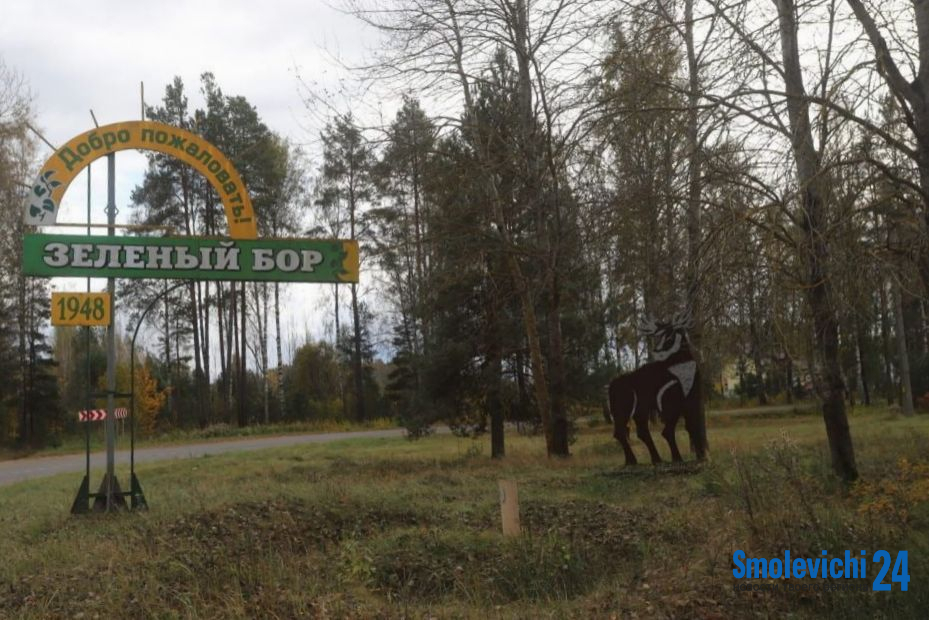 В Зеленом Бору собираются построить 12-квартирный дом