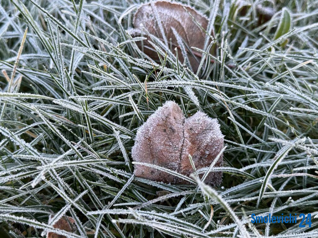 Народные приметы на 19 ноября: будет снежная зима — запоминаем эту примету