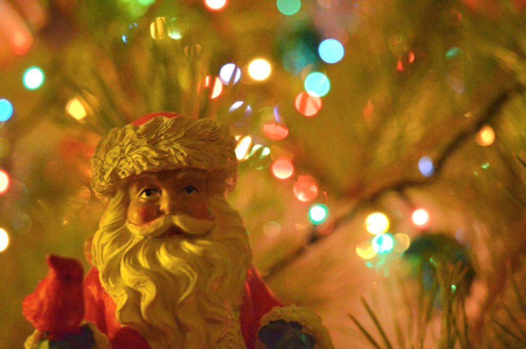 Семья из Алесино коллекционирует новогодние игрушки. Уже собрали четыре чемодана