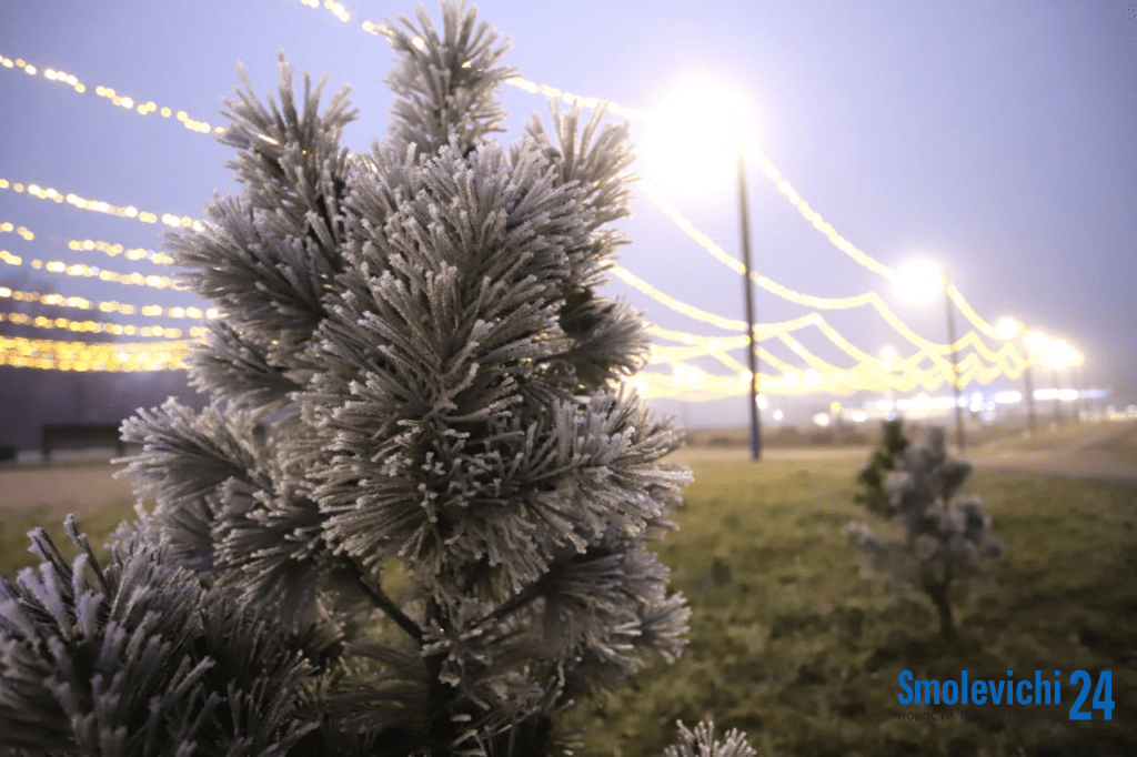 Смолевичи проснулись под сиянием изморози