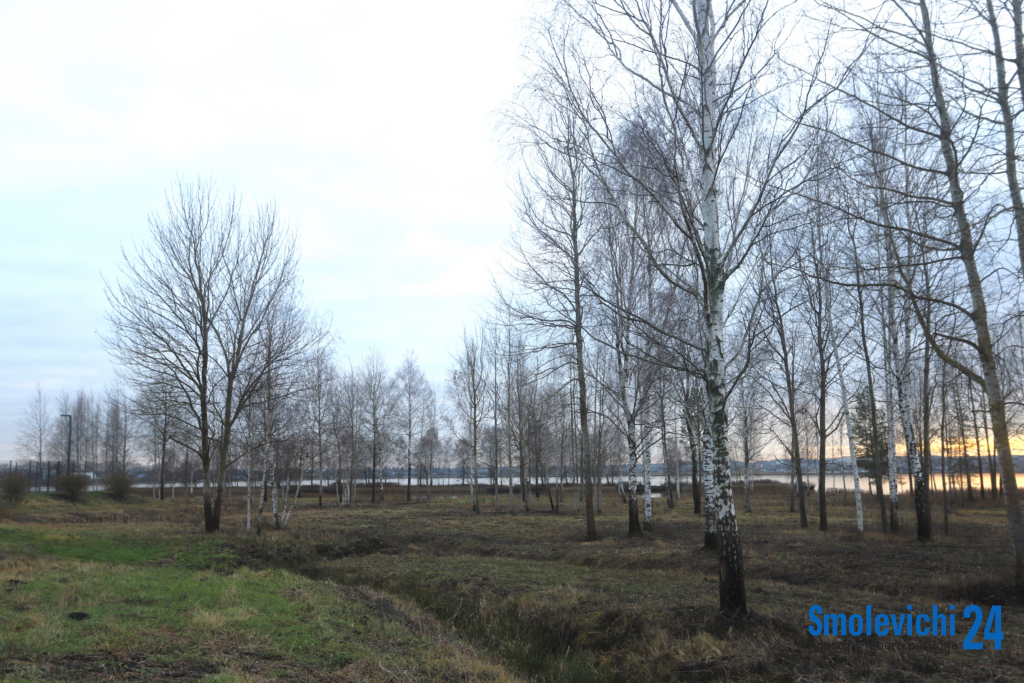 Узнали, где в городе появится новое место для прогулок
